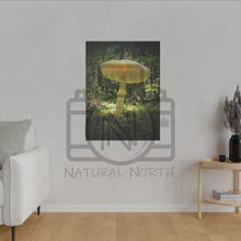 ’Sunlight Through A Mushroom’ Matte Canvas Stretched 0.75’’