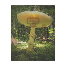 ’Sunlight Through A Mushroom’ Matte Canvas Stretched 0.75’’ 8″ X 10″ (Vertical) /