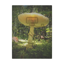 ’Sunlight Through A Mushroom’ Matte Canvas Stretched 0.75’’ 9’’ X 12’’ (Vertical) /