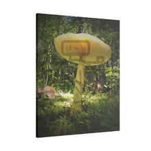 ’Sunlight Through A Mushroom’ Matte Canvas Stretched 0.75’’