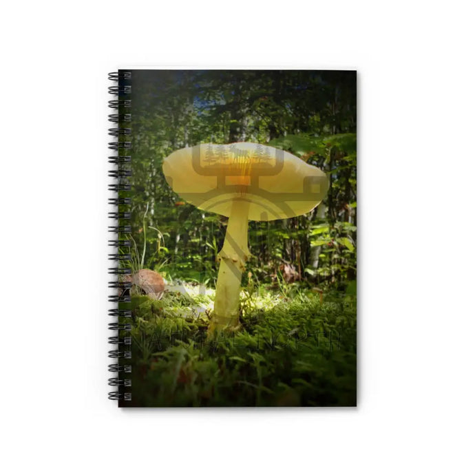 ’Sunlight Through A Mushroom’ Spiral Notebook - Ruled Line One Size Paper Products