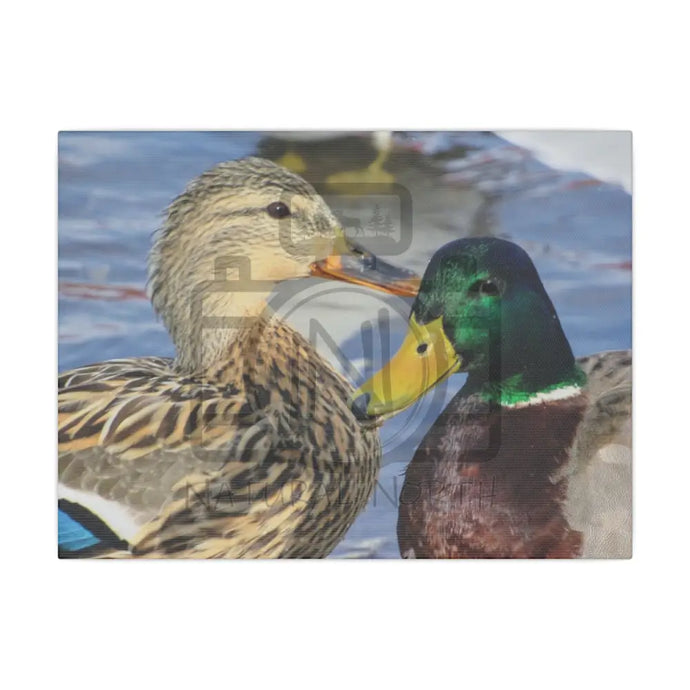 ’The Happy Couple’ On Matte Canvas Stretched 0.75’’ 12’’ X 9’’ (Horizontal) /