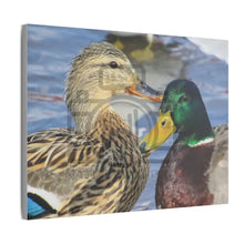 ’The Happy Couple’ On Matte Canvas Stretched 0.75’’