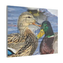 ’The Happy Couple’ On Matte Canvas Stretched 0.75’’