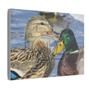 ’The Happy Couple’ On Matte Canvas Stretched 0.75’’