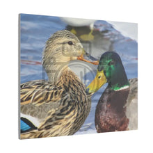 ’The Happy Couple’ On Matte Canvas Stretched 0.75’’